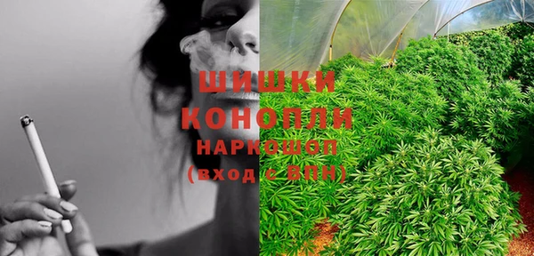 PSILOCYBIN Алзамай