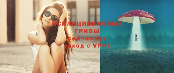 PSILOCYBIN Алзамай