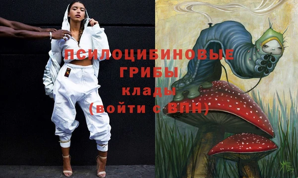 ПСИЛОЦИБИНОВЫЕ ГРИБЫ Алексеевка