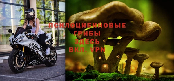 PSILOCYBIN Алзамай