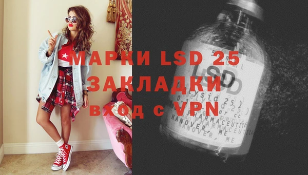 PSILOCYBIN Алзамай