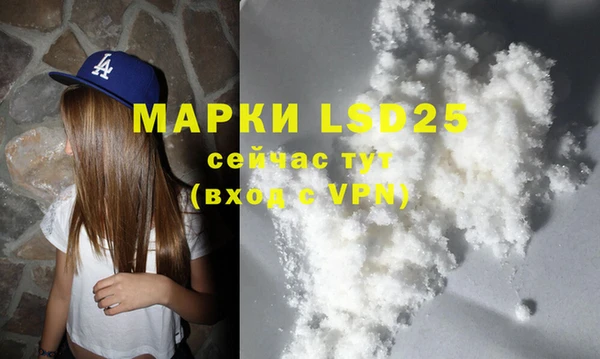 PSILOCYBIN Алзамай