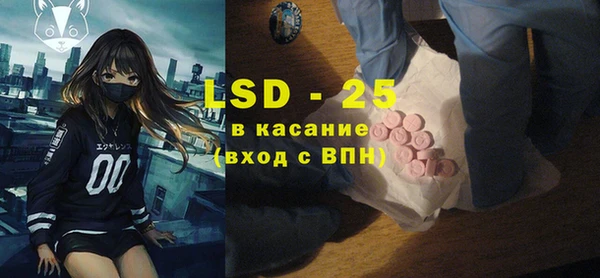 PSILOCYBIN Алзамай