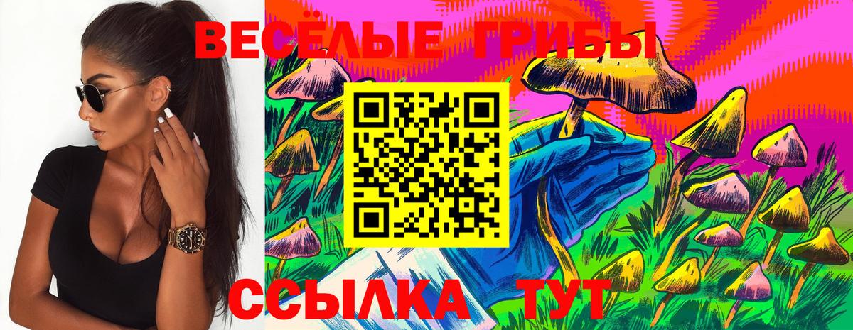 Находка  наркота  Вход с VPN  Псилоцибиновые грибы Psilocybe 